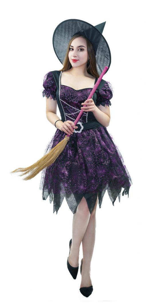 deguisement sorcière courte violette
