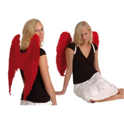 ailes-rouges-gm