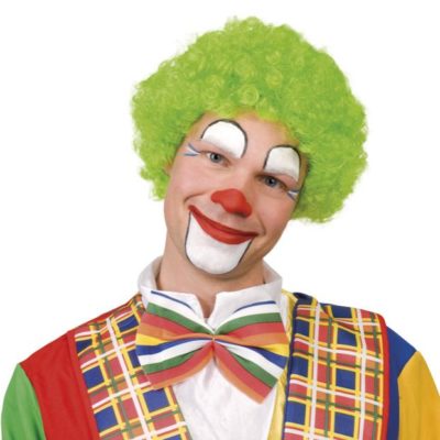 perruque-clown-verte