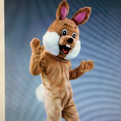 mascotte-lapin-marron