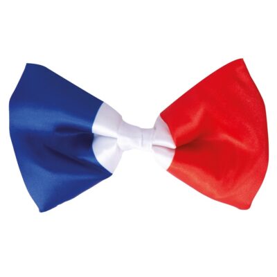 noeud papillon tricolore